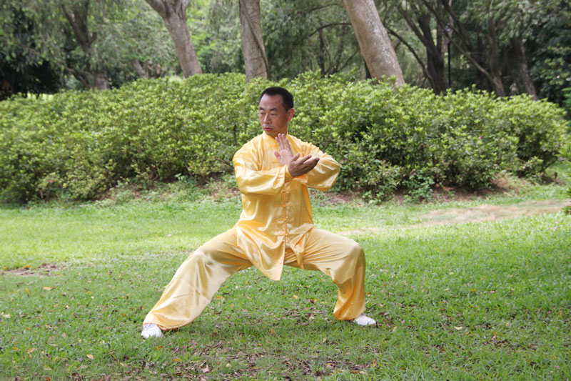 怎么提升你的武术能力,怎样提高太极内功技术