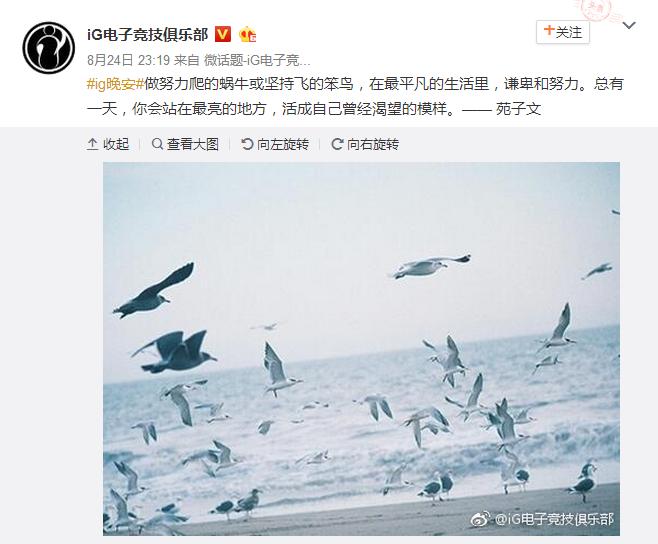 lpl半决赛热议,lpl赛前垃圾话厂长