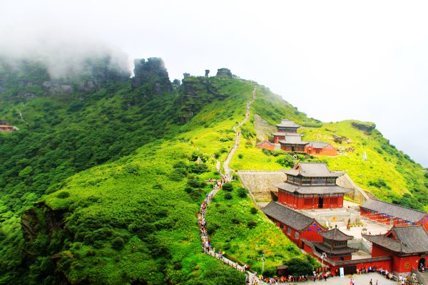 天天有人去山上采蘑菇,每天来观看的游客上万人