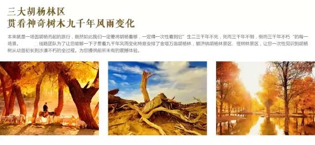 三千年的情缘，三千年的企盼只为这一季的金秋（附攻略）