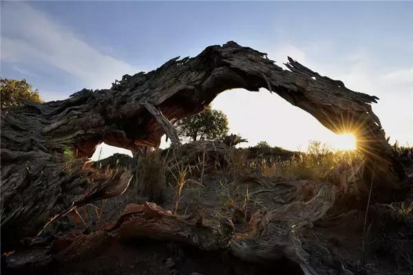 三千年的情缘,三千年的企盼只为这一季的金秋(附攻略)