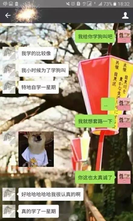 我给你学狗叫吧什么梗,我给你学狗叫吧什么意思