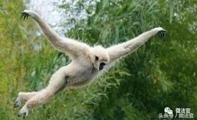 你离犯罪有多近,当你走在犯罪的路上