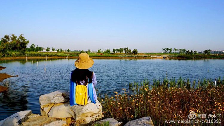 一花一叶总关情，一辆单车游古城，美哉正定！