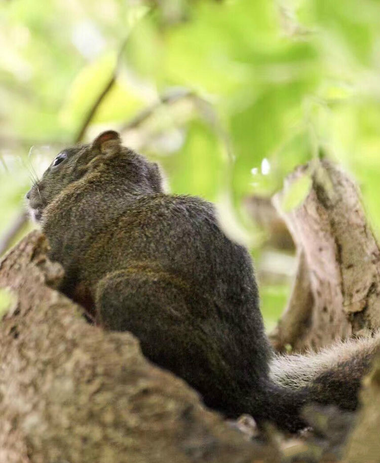 世界因你而美好原唱,世界因你而美好