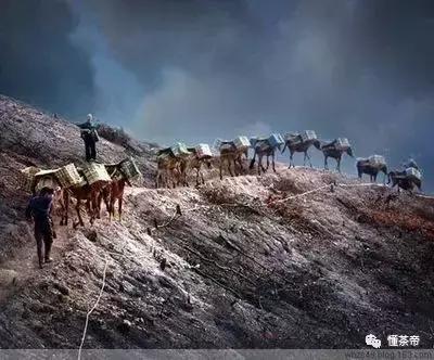 茶马古道的交通,茶马古道路途要经历哪些
