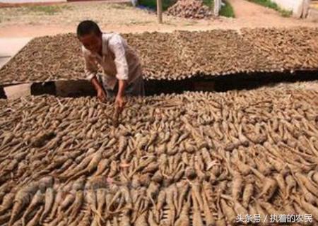 农村返乡创业的真实详细经历,曾经被众人看不起的穷小伙后续