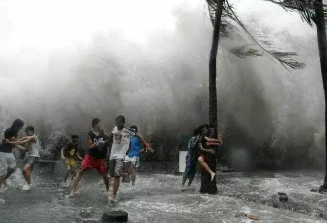 台风“帕卡”如期而至，菜价终于全线上涨，广州江南0827菜价