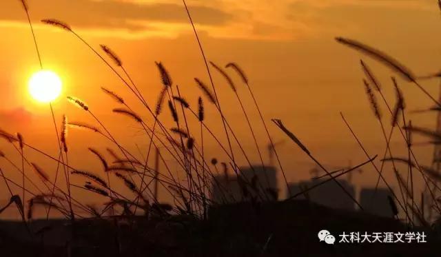 太阳谷文学会创始人｜李栋诗选（山西太谷）