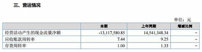 赛维电商资金,赛维电商经营分析