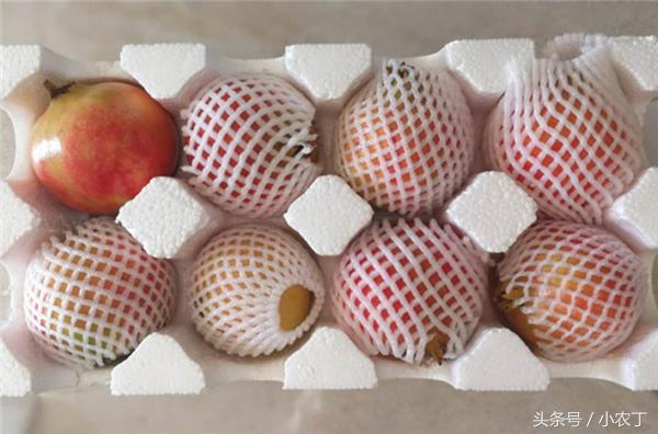 正宗突尼斯软籽石榴10斤新鲜当季,送礼必备佳品突尼斯软籽石榴