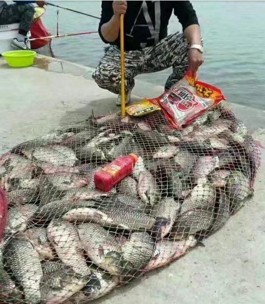 竿子h硬度和m硬度谁更硬,h硬度竿子缺点