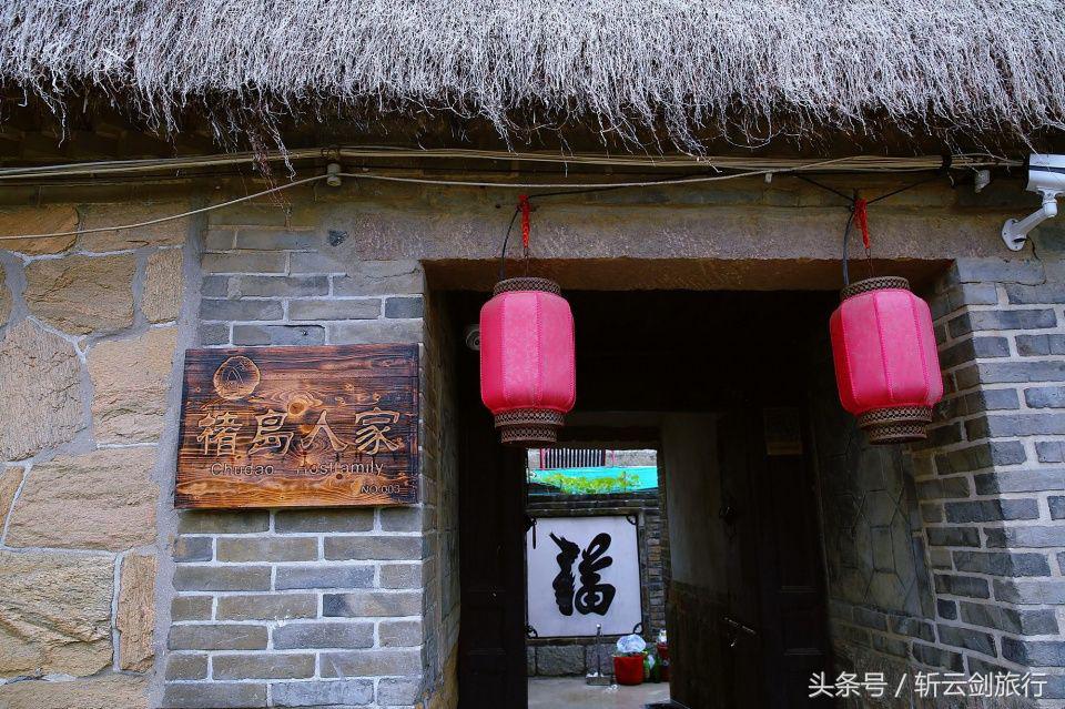 荣成烟墩角天鹅拍摄机位,世界最大天鹅