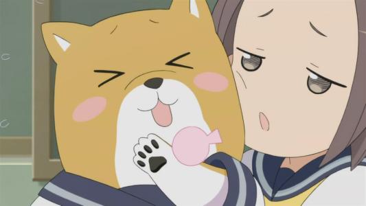 泡面番大安利动漫,泡面番安利宝藏