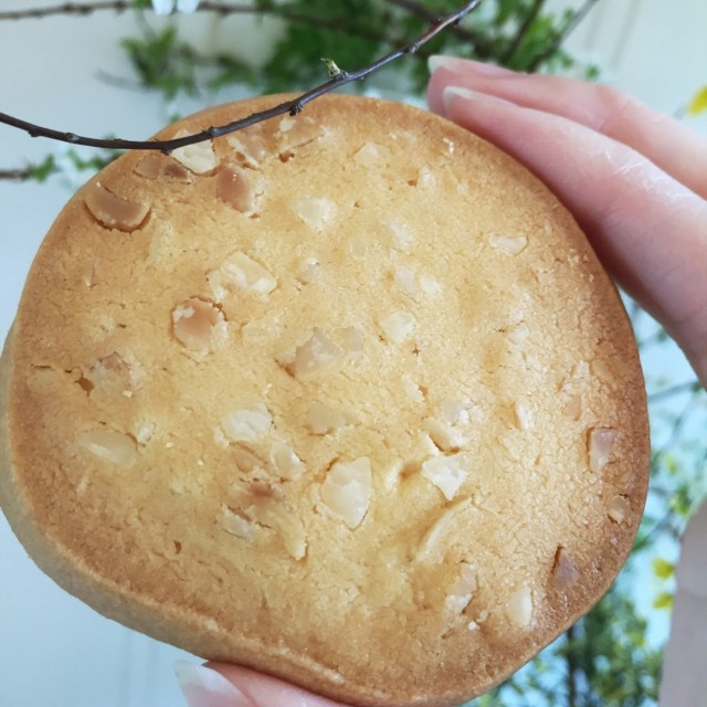 朱古力坚果曲奇,日式朱古力曲奇