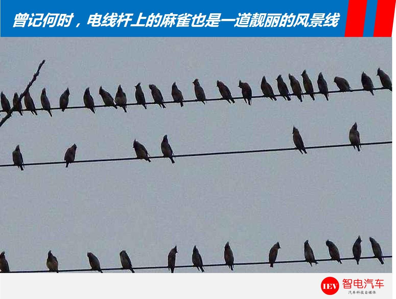 拍违章的有哪几种摄像头,路上有两种摄像头哪个是拍违章的