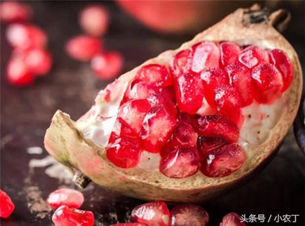 正宗突尼斯软籽石榴10斤新鲜当季,送礼必备佳品突尼斯软籽石榴