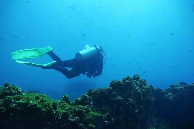 爱上邮轮的十个理由,爱上潜水的理由