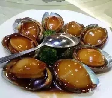 羊口开海！倒计时一天！第一网吃起来！看完哈喇子流一地