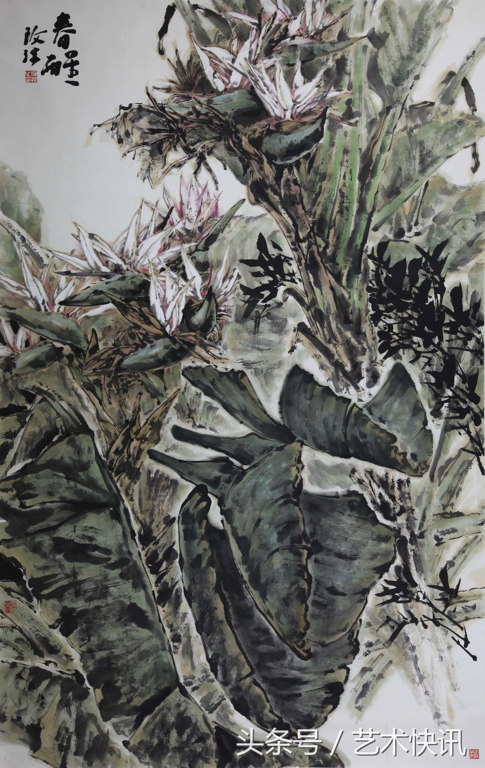 郭玫孮：时代的召唤节选