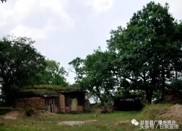 延安甘泉大峡谷桦树沟图片,甘泉雨岔大峡谷桦树沟玩多长时间