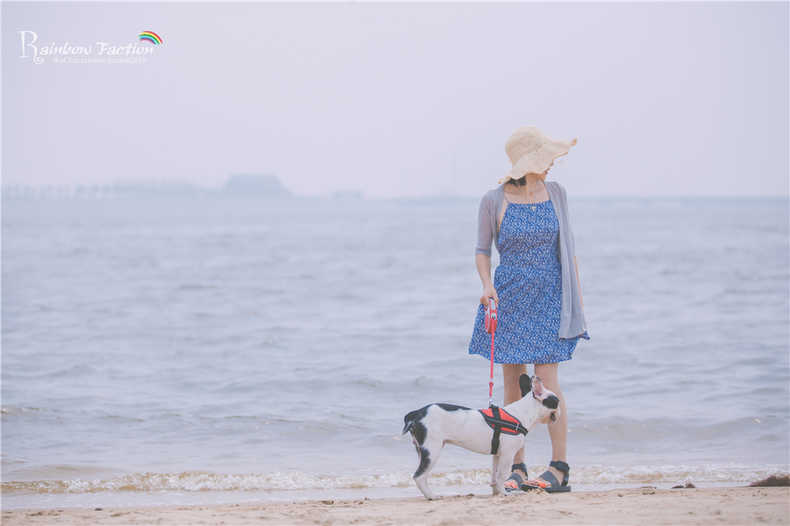 带着狗狗去旅行秦皇岛,带着狗狗旅居