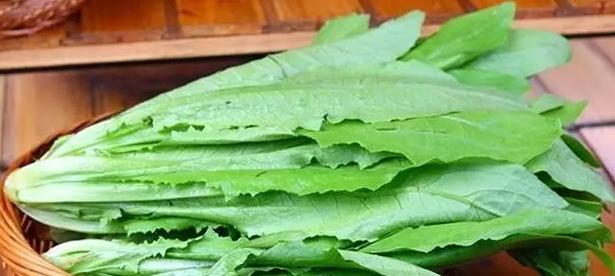 淡水龟吃什么食物,龟吃什么食物好