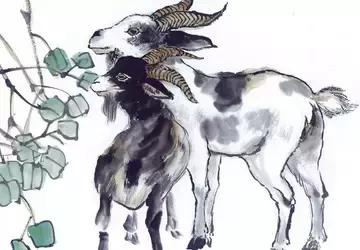 恩师真传的十二生肖婚配之忌,最佳的配偶十二生肖