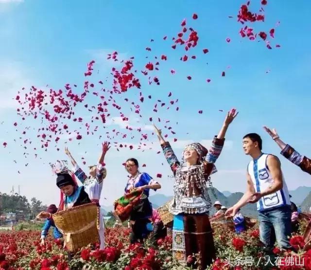 佛山西站出发动车直达!九月的普者黑,美成一幅脱俗的3D田园画~