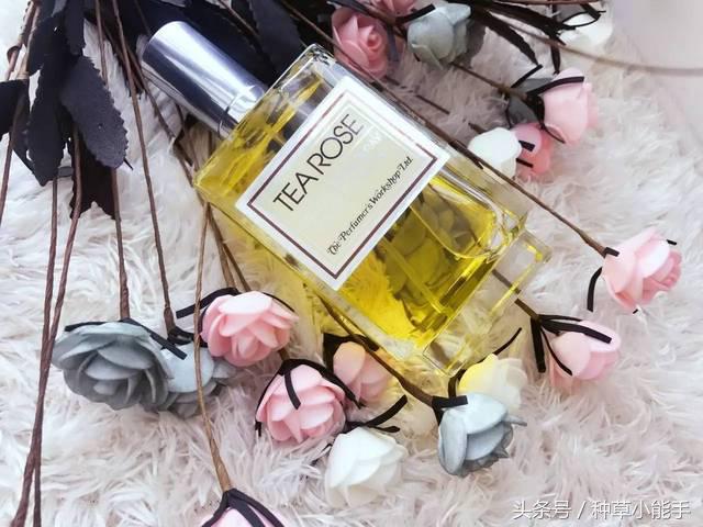 五款好用却便宜的国货香水,适合女生春天使用的香水小众平价