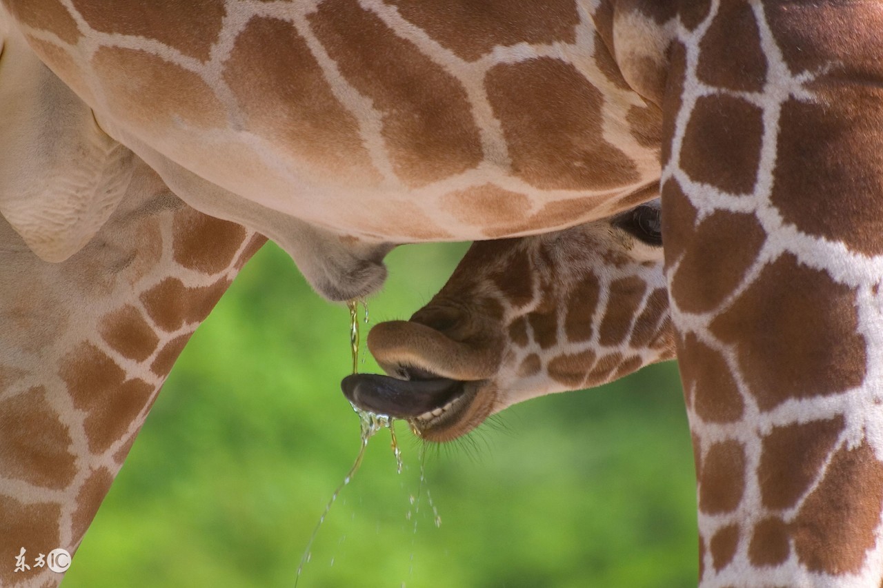 超有趣的冷知识你都不知道,超有趣的冷知识你绝对不知道