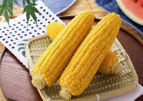 适合宝宝吃的有哪些食物,最适合孩子吃的九种食物