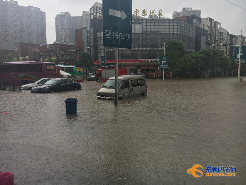 东莞海滩必备泳衣,东莞海边最新消息