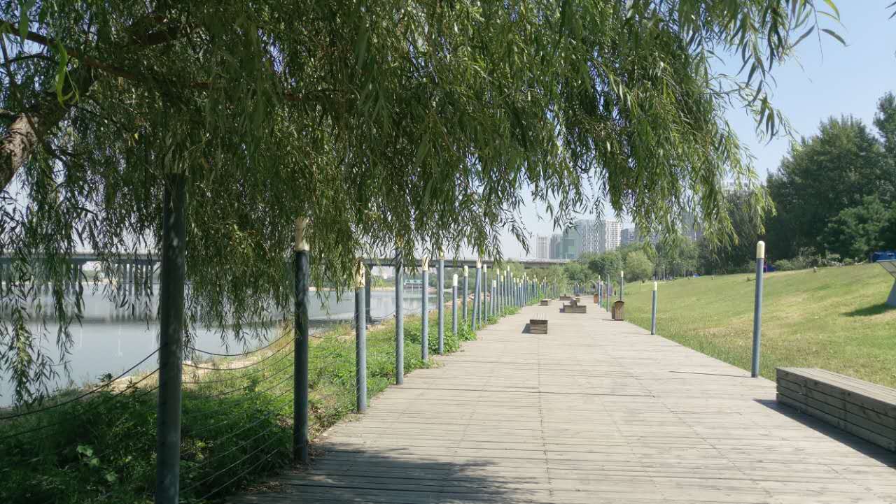 沈阳长白岛森林公园有海吗,游沈阳的长白岛森林公园400字作文