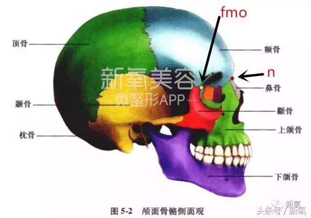 杨紫微整前后容颜对比,杨紫瘦了吗