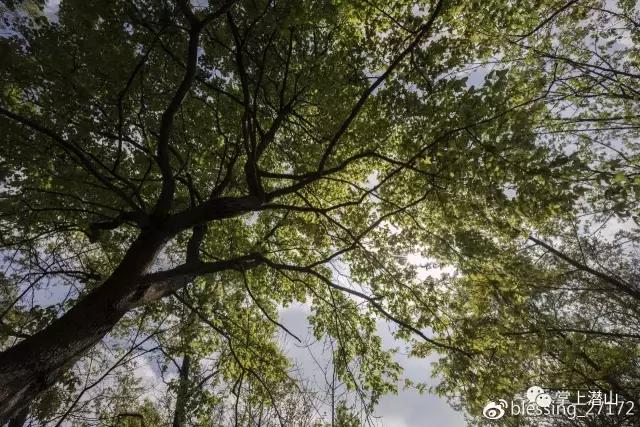 若要择一城终老，有谁不选潜山呢？