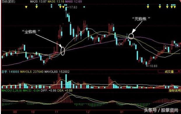 均线金蜘蛛炒股技巧,均线金蜘蛛战法