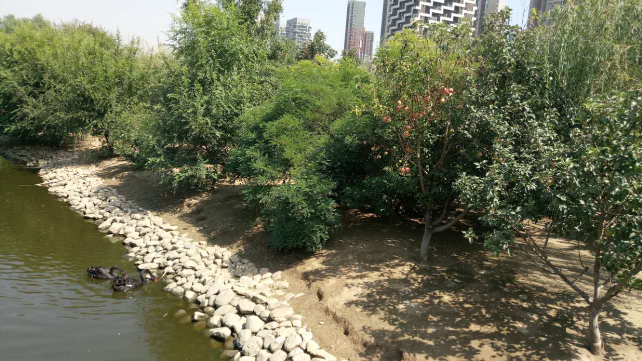 沈阳长白岛森林公园有海吗,游沈阳的长白岛森林公园400字作文