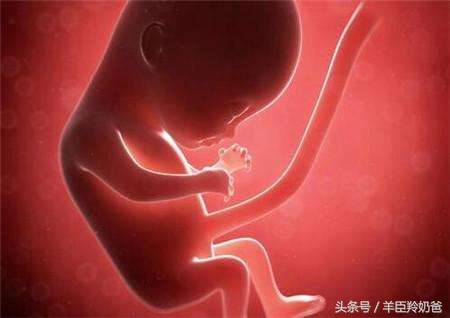 准妈妈肚子里的宝宝胎动,孕妈妈感觉到胎动的图