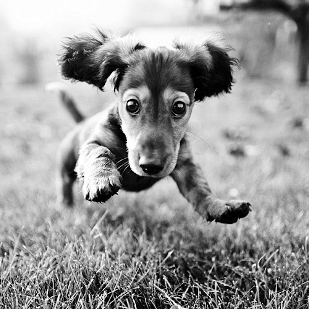 微信相册封面图片大全,微信相册封面图是什么