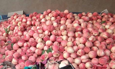 很稳!这次万能的淘宝解决了异地问题!上学再远怕什么!