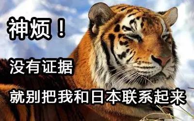 敦刻尔克战役详细介绍,敦刻尔克要是被德军消灭会怎么样