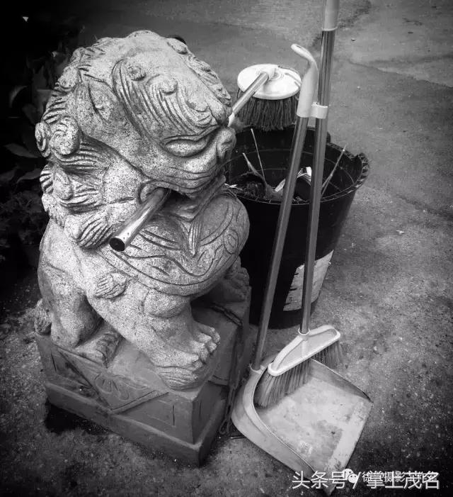 手机摄影田园生活图片,手机摄影主题