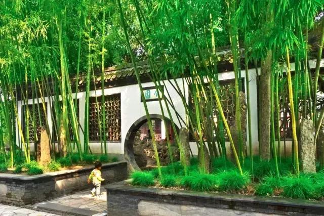 9月机票白菜价！洛阳出发飞遍半个中国，比坐高铁还便宜！