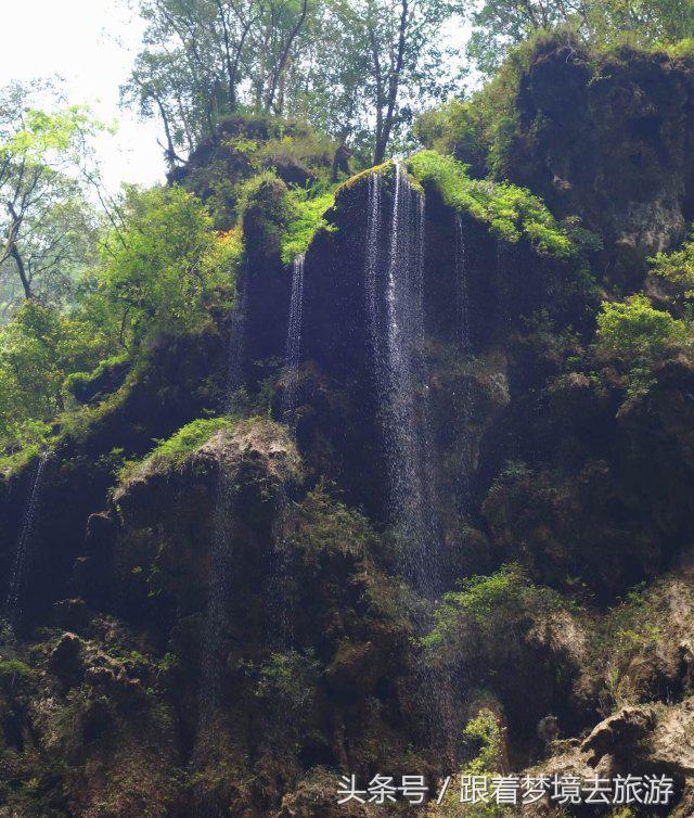 重庆最美黑山谷景区,重庆万盛黑山谷旅游如何