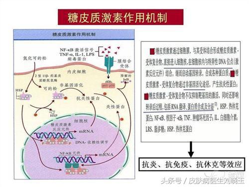 白癜风毛发变白治疗手段,白癜风是主流的治疗手段啥意思