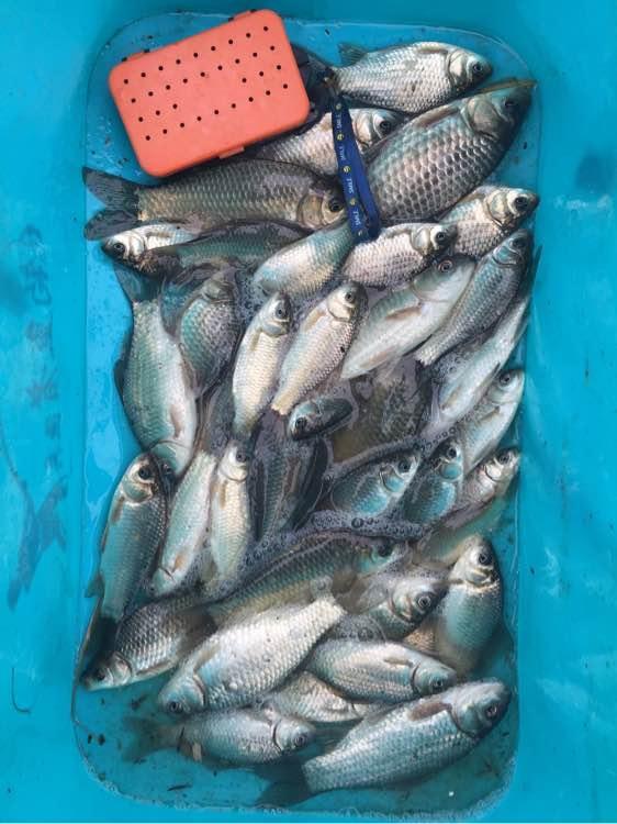 上班绑鱼钩，午休去钓鱼，因为工作耽搁了钓鱼，太不值！