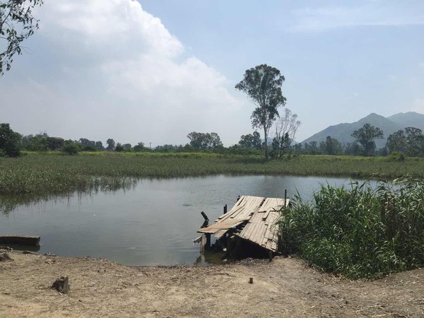 香港风景区排名前十名,香港十大必游景点排行榜