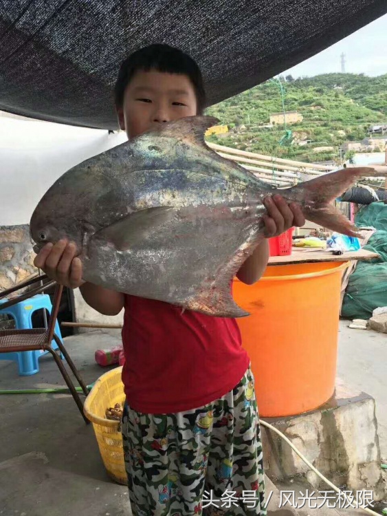 国内未开发适合旅游的岛,未曾旅游开发的岛