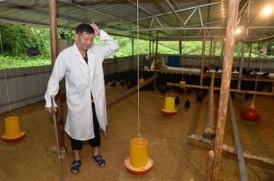 三德子赵亮与妻子回乡养鸡,三德子赵亮养鸡上综艺